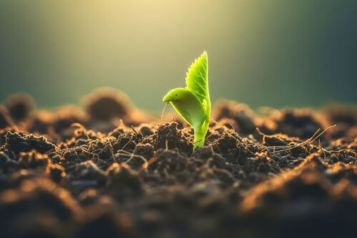 energia da primavera novos começos